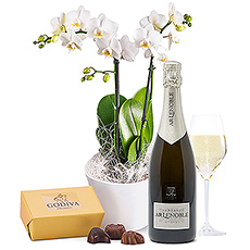 Orchidée Champagne Chocolats