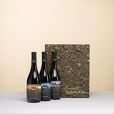 La collection de vins "Proyecto Garnacha De España" est un hommage à un cépage historiquement oublié qui revient aujourd'hui à la découverte du monde entier.