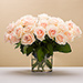 20 roses romantiques [01]